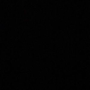 Meet your Posher, Sasha